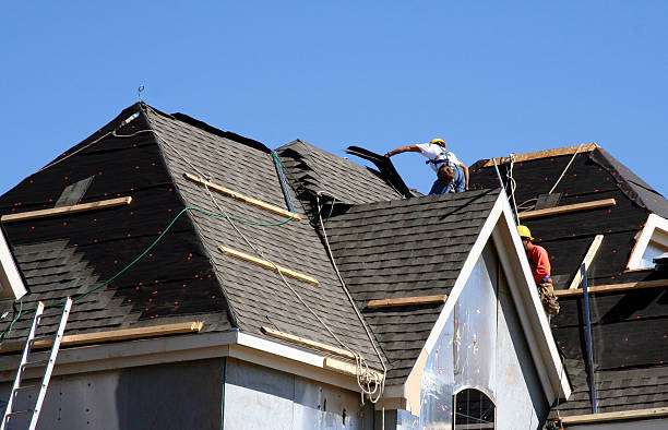 Best Asphalt Shingle Roofing  in Jesup, GA